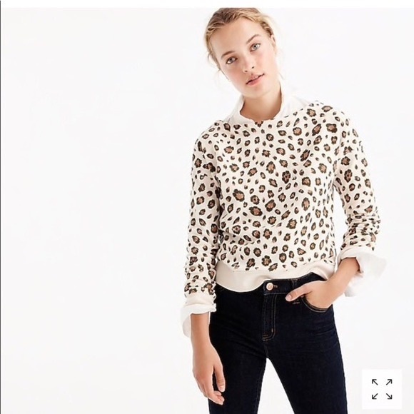 J. Crew Leopard Print Crew Neck Sweater Small - Picture 1 of 11